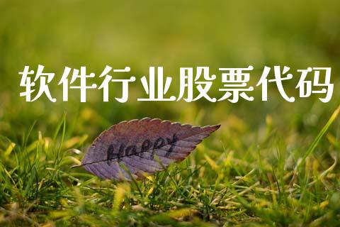 软件行业股票代码_https://www.lansai.wang_恒生指数_第1张
