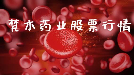 梵木药业股票行情_https://www.lansai.wang_股票知识_第1张