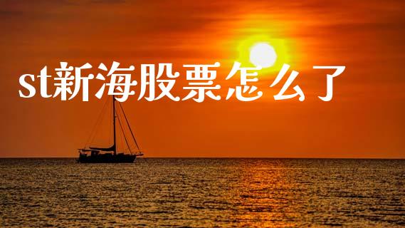 st新海股票怎么了_https://www.lansai.wang_期货行情_第1张