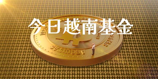 今日越南基金_https://www.lansai.wang_基金理财_第1张