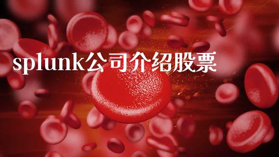 splunk公司介绍股票_https://www.lansai.wang_期货行情_第1张
