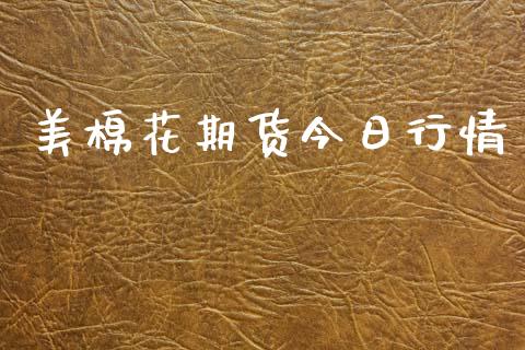 美棉花期货今日行情_https://www.lansai.wang_恒生指数_第1张