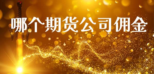 哪个期货公司佣金_https://www.lansai.wang_股票问答_第1张