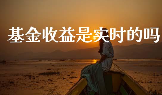 基金收益是实时的吗_https://www.lansai.wang_基金理财_第1张