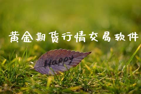 黄金期货行情交易软件_https://www.lansai.wang_期货资讯_第1张