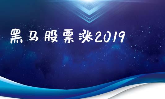 黑马股票涨2019_https://www.lansai.wang_期货行情_第1张