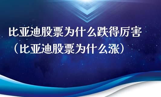 比亚迪股票为什么跌得厉害（比亚迪股票为什么涨）_https://www.lansai.wang_股票知识_第1张