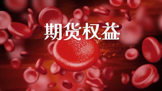 期货权益_https://www.lansai.wang_期货品种_第1张