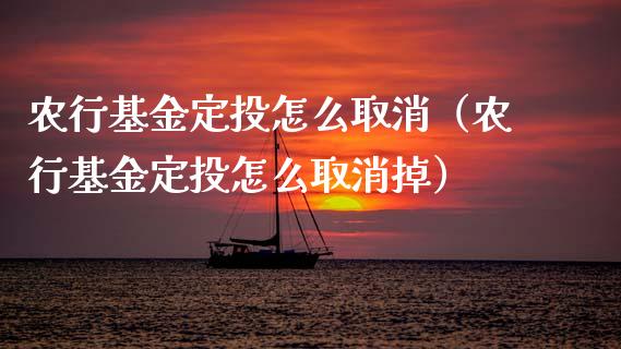 农行基金定投怎么取消（农行基金定投怎么取消掉）_https://www.lansai.wang_基金理财_第1张