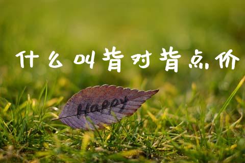 什么叫背对背点价_https://www.lansai.wang_理财百科_第1张
