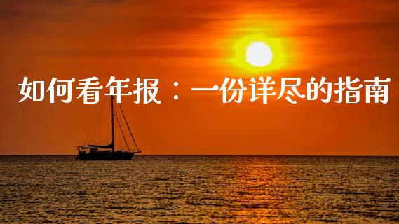 如何看年报：一份详尽的指南_https://www.lansai.wang_股票问答_第1张