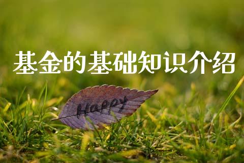 基金的基础知识介绍_https://www.lansai.wang_基金理财_第1张