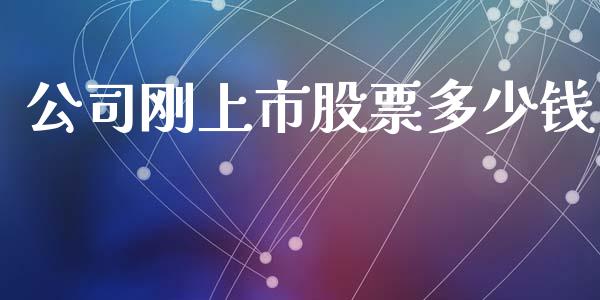 公司刚上市股票多少钱_https://www.lansai.wang_基金理财_第1张