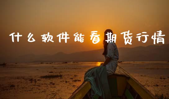 什么软件能看期货行情_https://www.lansai.wang_股指期货_第1张