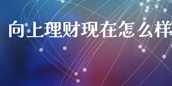 向上理财现在怎么样_https://www.lansai.wang_期货资讯_第1张