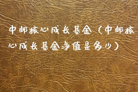 中邮核心成长基金（中邮核心成长基金净值是多少）_https://www.lansai.wang_基金理财_第1张