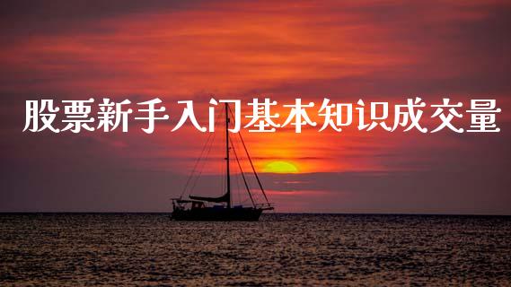 股票新手入门基本知识成交量_https://www.lansai.wang_股票知识_第1张
