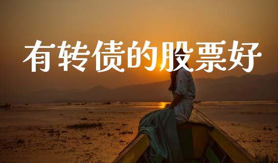 有转债的股票好_https://www.lansai.wang_基金理财_第1张