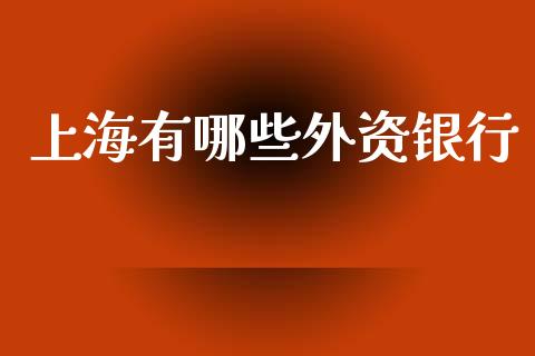 上海有哪些外资银行_https://www.lansai.wang_基金理财_第1张