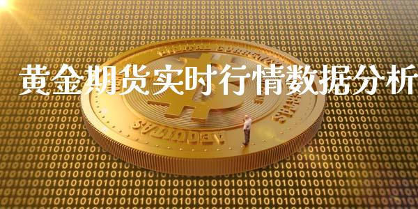 黄金期货实时行情数据分析_https://www.lansai.wang_期货行情_第1张