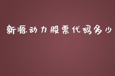 新源动力股票代码多少_https://www.lansai.wang_基金理财_第1张