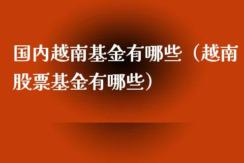 国内越南基金有哪些（越南股票基金有哪些）_https://www.lansai.wang_基金理财_第1张