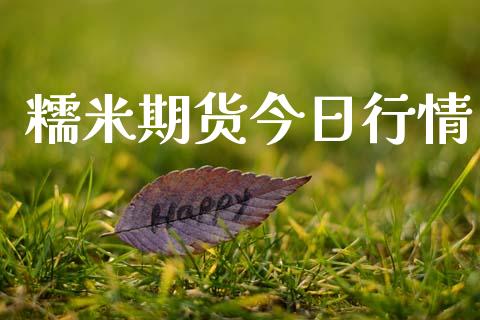糯米期货今日行情_https://www.lansai.wang_期货品种_第1张