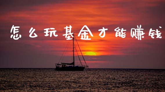 怎么玩基金才能赚钱_https://www.lansai.wang_理财百科_第1张
