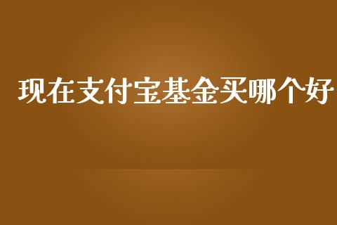 现在支付宝基金买哪个好_https://www.lansai.wang_基金理财_第1张
