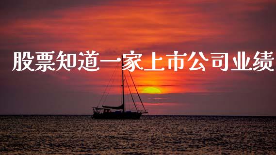 股票知道一家上市公司业绩_https://www.lansai.wang_期货资讯_第1张