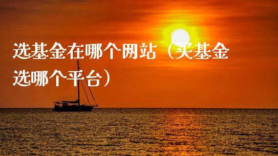 选基金在哪个网站（买基金选哪个平台）_https://www.lansai.wang_基金理财_第1张
