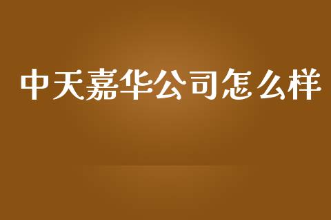 中天嘉华公司怎么样_https://www.lansai.wang_股票问答_第1张