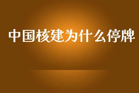 中国核建为什么停牌_https://www.lansai.wang_期货行情_第1张