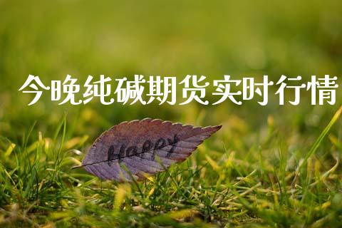 今晚纯碱期货实时行情_https://www.lansai.wang_期货行情_第1张