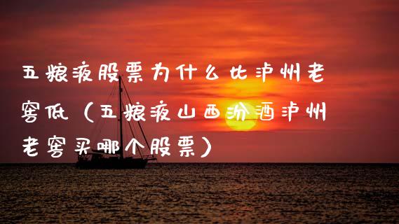 五粮液股票为什么比泸州老窖低（五粮液山西汾酒泸州老窖买哪个股票）_https://www.lansai.wang_股票问答_第1张