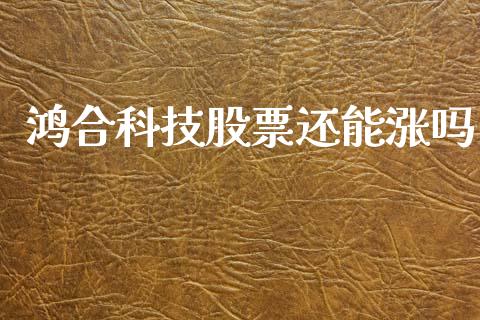 鸿合科技股票还能涨吗_https://www.lansai.wang_期货行情_第1张