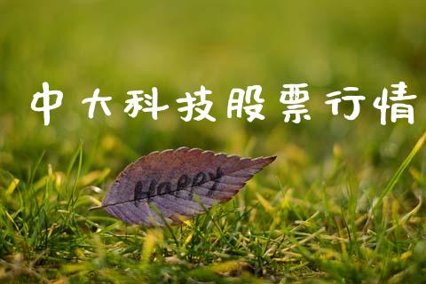 中大科技股票行情_https://www.lansai.wang_股票知识_第1张