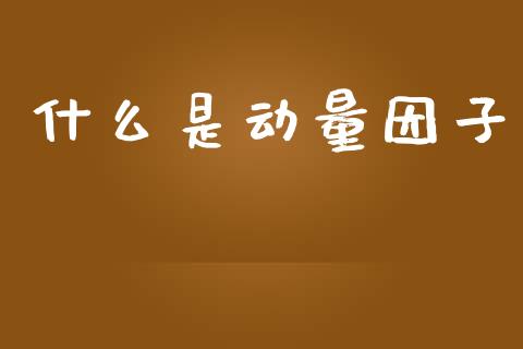 什么是动量因子_https://www.lansai.wang_股票知识_第1张