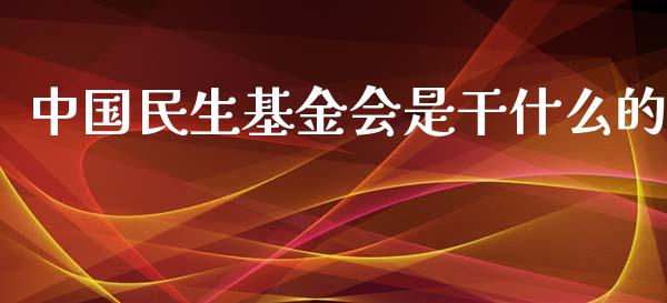 中国民生基金会是干什么的_https://www.lansai.wang_基金理财_第1张
