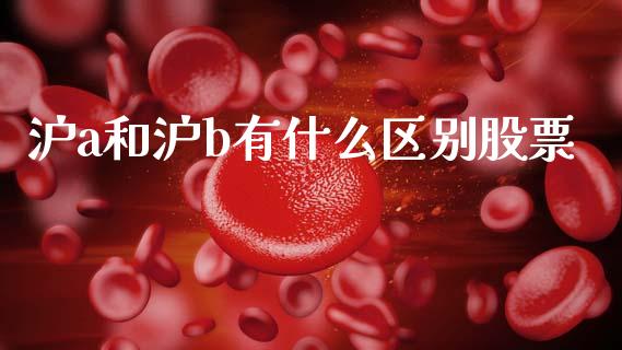 沪a和沪b有什么区别股票_基金理财_第1张_起点财经 沪a和沪b有什么区别股票_https://www.lansai.wang_基金理财_第1张
