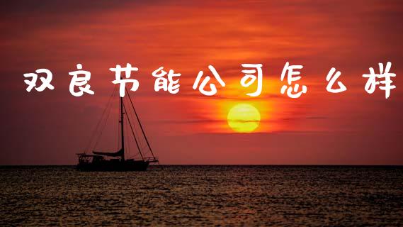 双良节能公司怎么样_https://www.lansai.wang_恒生指数_第1张