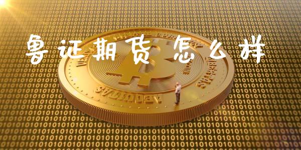 鲁证期货 怎么样_https://www.lansai.wang_理财百科_第1张