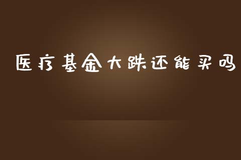 医疗基金大跌还能买吗_https://www.lansai.wang_基金理财_第1张