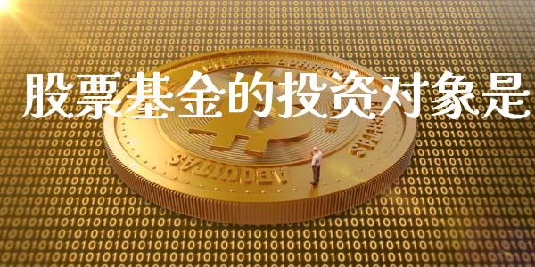 股票基金的投资对象是_https://www.lansai.wang_基金理财_第1张