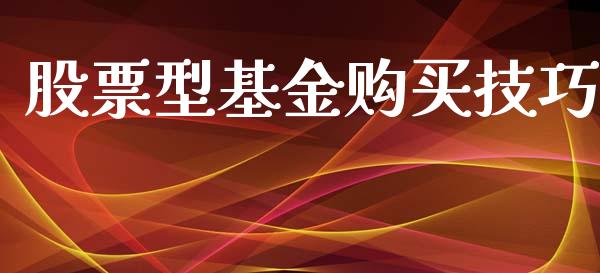 股票型基金购买技巧_https://www.lansai.wang_基金理财_第1张