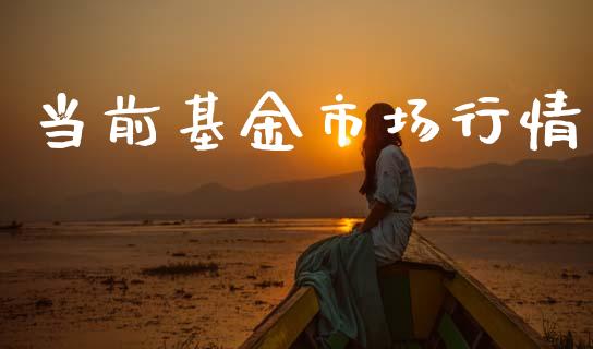 当前基金市场行情_https://www.lansai.wang_基金理财_第1张