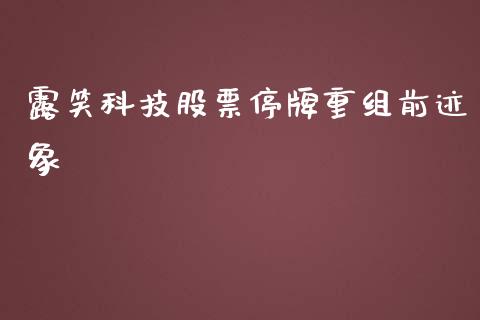 露笑科技股票停牌重组前迹象_https://www.lansai.wang_基金理财_第1张