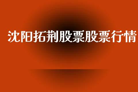 沈阳拓荆股票股票行情_https://www.lansai.wang_股票知识_第1张
