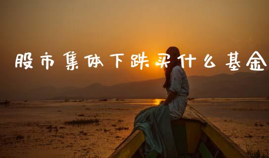 股市集体下跌买什么基金_https://www.lansai.wang_基金理财_第1张