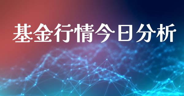 基金行情今日分析_https://www.lansai.wang_基金理财_第1张
